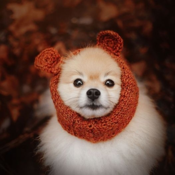 Meet your Posher, Lynnl - Picture 1 of 1